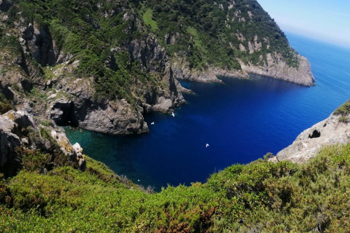 Giornata di trekking alla Gorgona – 3 Settembre