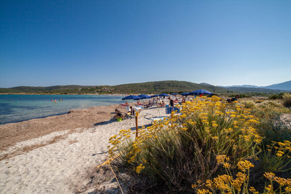 la cabana viaggi carrara massa sarzana la spezia viaggio gruppo sardegna la cabana viaggi da la spezia massa sarzana carrara eden viaggi san teodoro